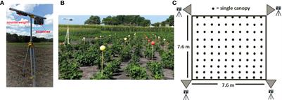 “Canopy fingerprints” for characterizing three-dimensional point cloud data of soybean canopies